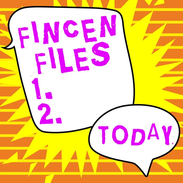 书面文字显示金融资产和负债中的Fincen Files Internet Concept Transactions — 图库照片