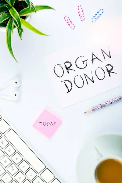 Conceptual display Organ Donor, Business approach A person who offers an organ from their body for transplantation
