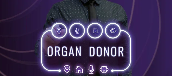 Text sign showing Organ Donor, Internet Concept A person who offers an organ from their body for transplantation