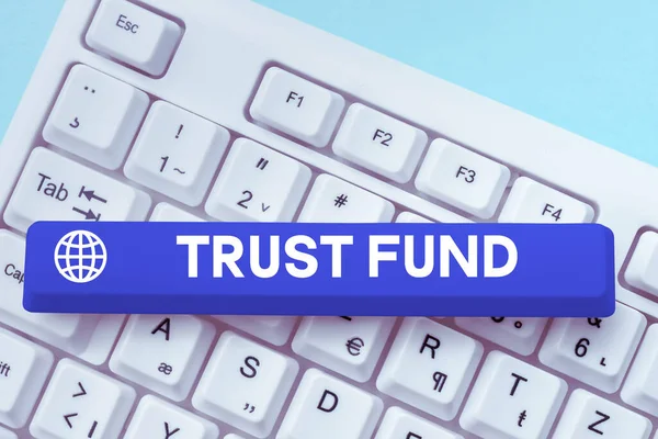 Inspiratie Toont Teken Trustfonds Internet Concept Geld Dat Wordt Gehouden — Stockfoto