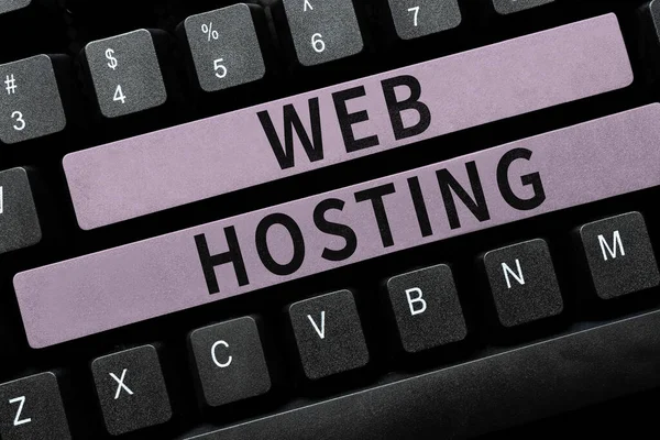 Conceptual display Web Hosting, Concept meaning The activity of providing storage space and access for websites