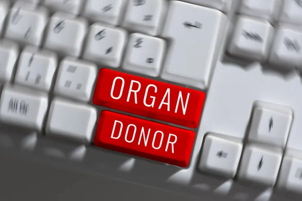 Handwriting text Organ Donor, Concept meaning A person who offers an organ from their body for transplantation