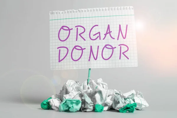 Text showing inspiration Organ Donor, Conceptual photo A person who offers an organ from their body for transplantation