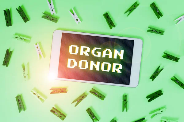 Inspiration showing sign Organ Donor, Conceptual photo A person who offers an organ from their body for transplantation