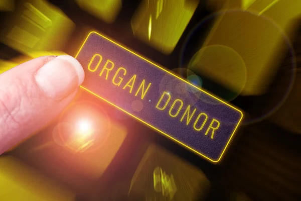 Conceptual display Organ Donor, Word for A person who offers an organ from their body for transplantation