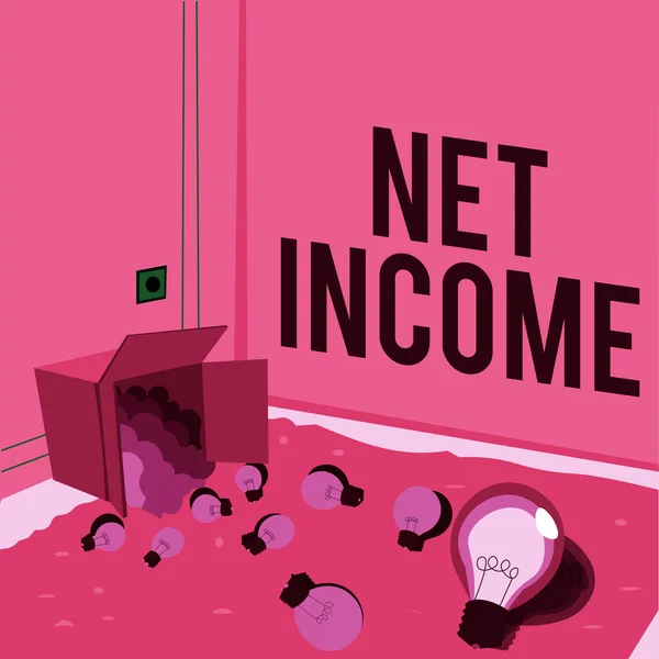 Schriftelijke Weergave Van Tekst Netto Inkomsten Business Showcase Bruto Inkomsten — Stockfoto
