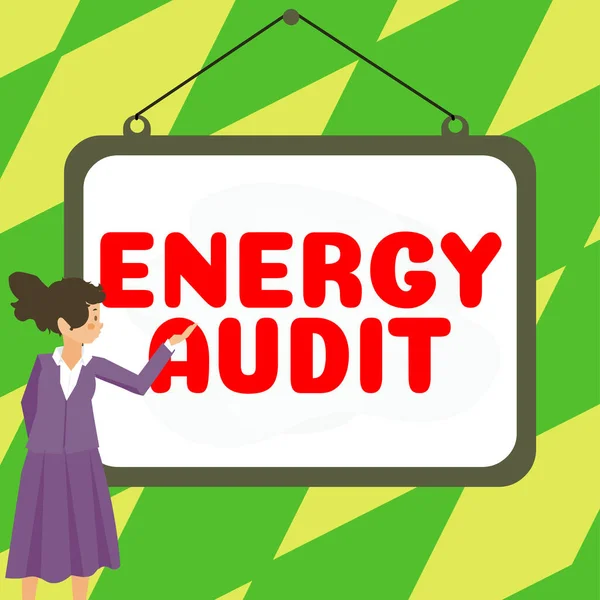 Handschrifttekst Energy Audit Business Idea Assessment Energy Needs Efficiency Building — Stockfoto