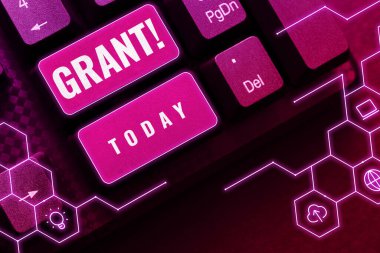 İlham kaynağı olan Grant 'i gösteren metin, bir kurum veya hükümet tarafından burs için verilen internet kavramı parası