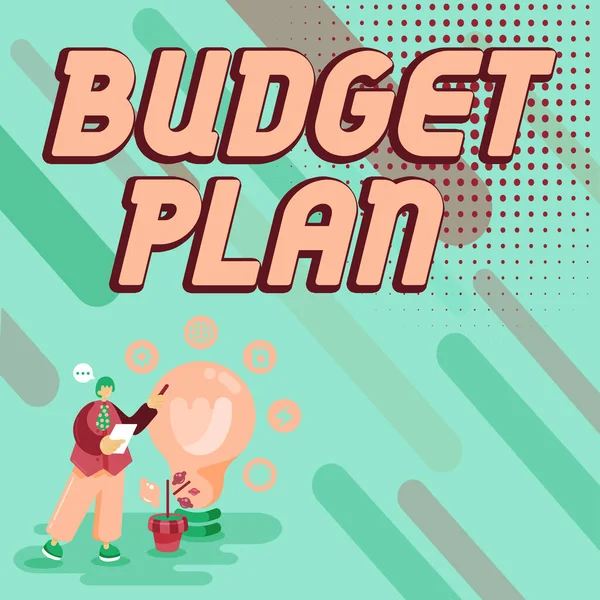Kavramsal Başlık Bütçe Planı Genel Bakış Mali Planı Belirli Bir — Stok fotoğraf