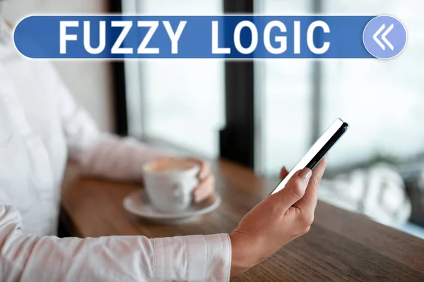 Text sign showing Fuzzy Logic, Business approach system in which statement can be true, false, or any value in between