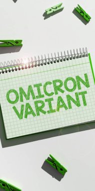 Yeni bir tür koronavirüsün yol açtığı hafif ve ağır solunum hastalıklarına ilişkin iş genel değerlendirmesi.