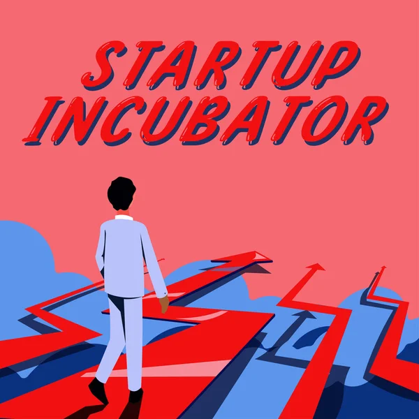 Inspirace Zobrazující Znak Startup Incubator Word Concept Který Může Být — Stock fotografie