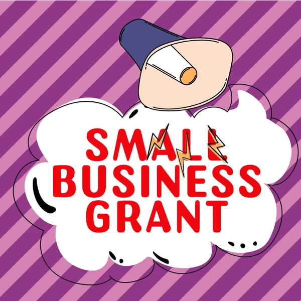 Ispirazione Mostrando Segno Small Business Grant Internet Concept Azienda Proprietà — Foto Stock