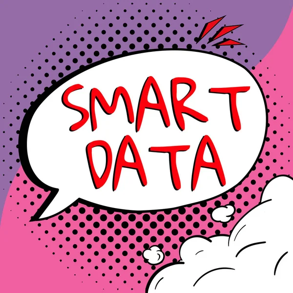 Tekst Weergeven Smart Data Business Concept Digitale Informatie Die Geformatteerd — Stockfoto