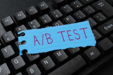 A 'ya B Testi, İş Genel Görünümü Basit Kısa Anket Araştırma Araştırması Sorgu Araştırması