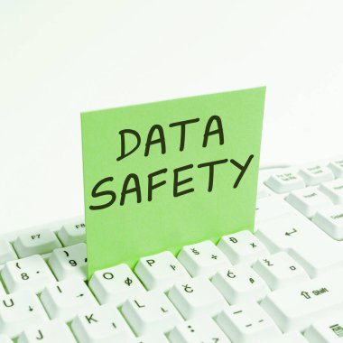 Veri Güvenliğinin kavramsal görüntülenmesi, güvenli depolama sağlanarak verileri kayıplara karşı koruma kaygıları anlamına gelir