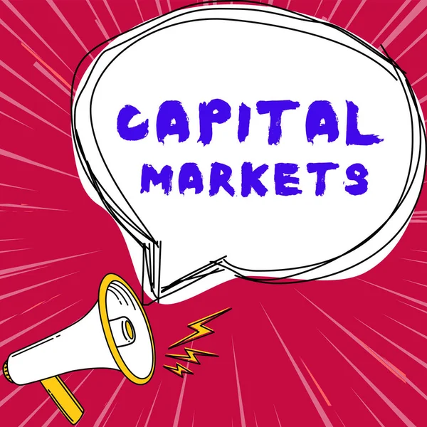 Konzeptionelle Darstellung Kapitalmärkte Unternehmensübersicht Erlauben Unternehmen Mittel Beschaffen Indem Sie — Stockfoto