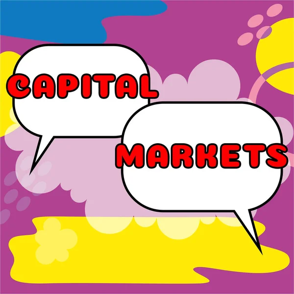 Text Sign Showing Capital Markets Internet Concept Allow Businesses Raise — Photo