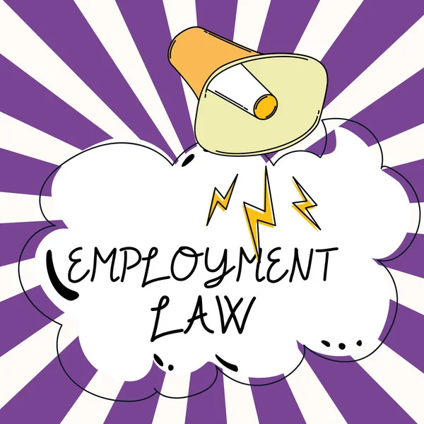 就业法 商业概览 涉及雇主和雇员的法定权利和义务 — 图库照片