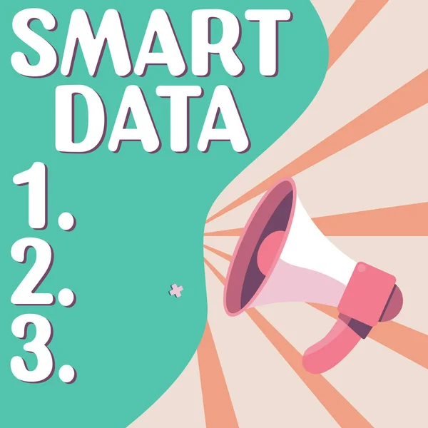 Tekenen Weergeven Van Smart Data Conceptuele Foto Digitale Informatie Die — Stockfoto