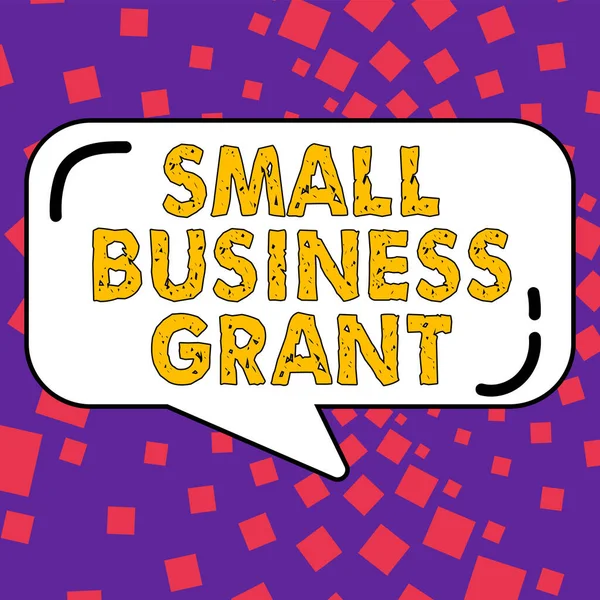 Szöveges Tábla Amely Bemutatja Small Business Grant Üzleti Áttekintés Egy — Stock Fotó