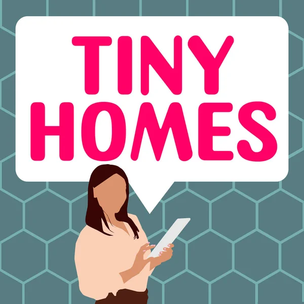 Wyświetlacz Koncepcyjny Tiny Homes Internet Concept Domy Zawierają Tylko Jeden — Zdjęcie stockowe
