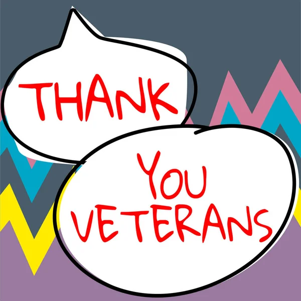 Text Sign Showing Thank You Veterans Word Written Expression Gratitude — Stock Photo, Image