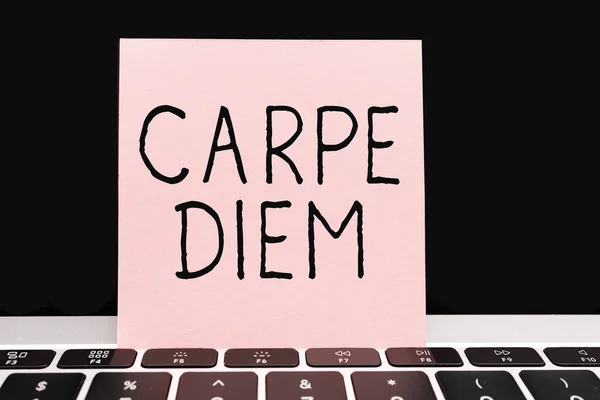 Hand Writing Sign Carpe Diem Business Overview Public Festival Which — Photo