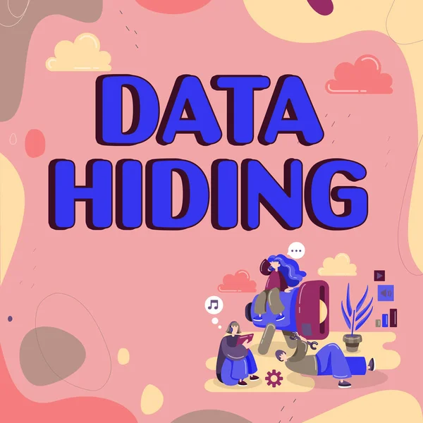 Writing Displaying Text Data Hiding Business Overview Secretly Embedding Data — Fotografia de Stock