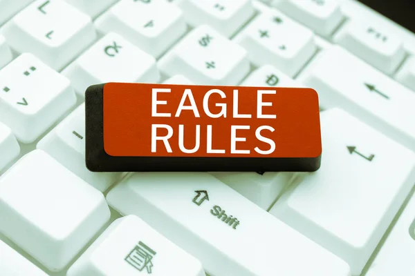 Conceptual caption Eagle Rules, Business idea a huge set of design rules which your layout needs to pass