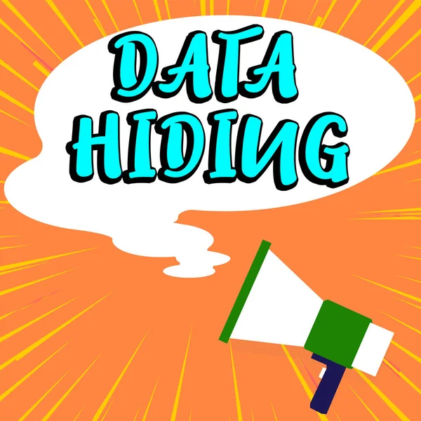 Text Sign Showing Data Hiding Word Secretly Embedding Data Graphics — Fotografia de Stock