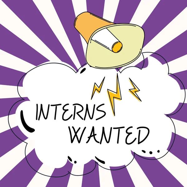 Conceptual Display Interns Wanted Business Overview Looking Job Trainee Part — Stockfoto