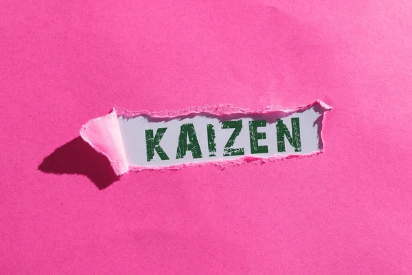 Text Caption Presenting Kaizen Word Japanese Business Philosophy Improvement Working — Stock fotografie
