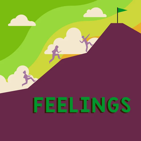 Segno Testo Che Mostra Sentimenti Business Idea Causando Felici Sentimenti — Foto Stock