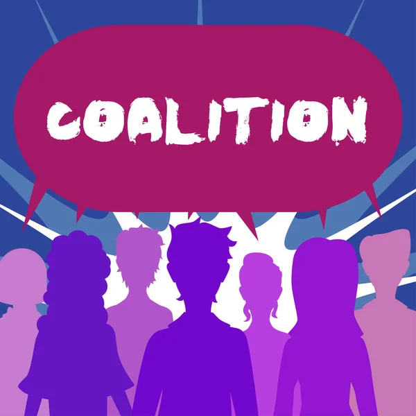 Inspiration Showing Sign Coalition Internet Concept Temporary Alliance Distinct Parties — Photo