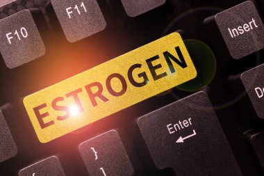 Metin Östrojen 'in yazılması, iş yaklaşım hormon grubu kadın özelliklerinin gelişimini teşvik eder