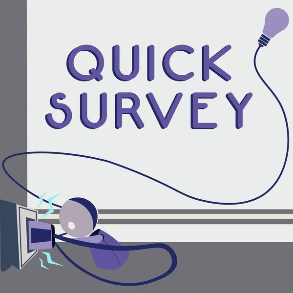 Sign Displaying Quick Survey Business Idea Conduct Fast Check Condition — Stok fotoğraf