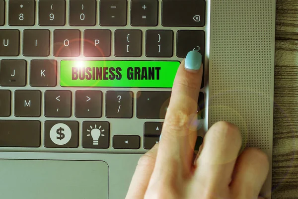 Writing displaying text Business Grant, Business overview Working strategies accomplish objectives