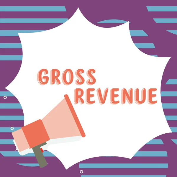 Text Caption Presenting Gross Revenue Business Idea Total Value Everything — Stockfoto
