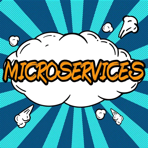 Sign Displaying Microservices Business Idea Software Development Technique Building Single — Stok fotoğraf