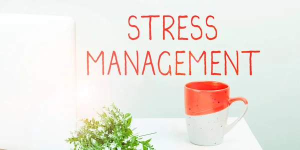 Conceptual display Stress Management, Business idea learning ways of behaving and thinking that reduce stress