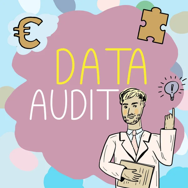 Text caption presenting Data Audit, Business overview auditing of data to assess its quality for a specific purpose