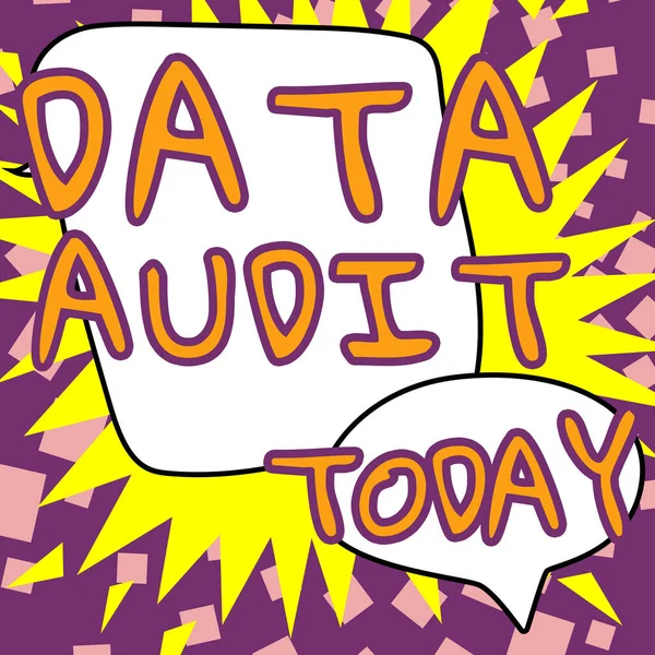 Text caption presenting Data Audit, Word for auditing of data to assess its quality for a specific purpose