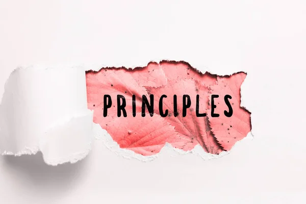 Conceptual Display Principles Business Idea Fundamental Truth Serves Base System — Fotografia de Stock