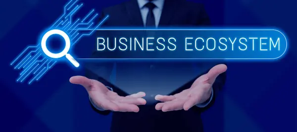 Text Sign Showing Business Ecosystem Business Overview Develop Implement Organization — Stok fotoğraf