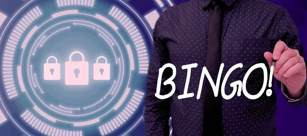 Handwriting Text Bingo Business Idea Game Chance Which Each Player — Fotografia de Stock