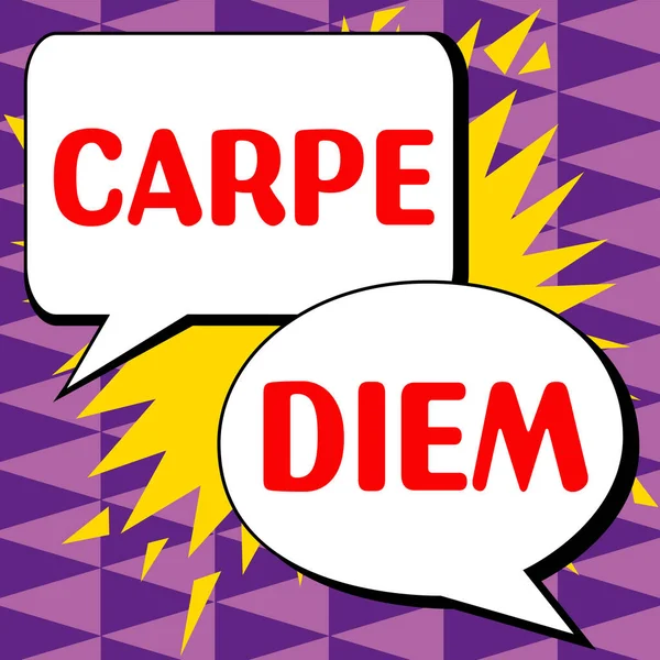 Sign Displaying Carpe Diem Concept Meaning Public Festival Which People — Stok fotoğraf