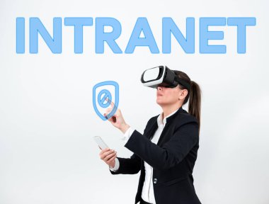 Kavramsal ekran İçi, İş Fikri yerel veya kısıtlı iletişim ağı özellikle de özel ağ