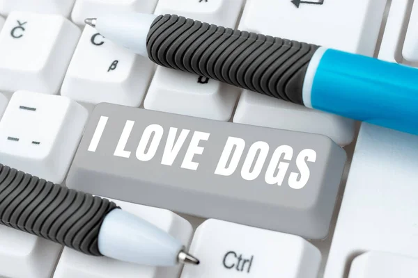 Text Caption Presenting Love Dogs Conceptual Photo Have Good Feelings — Φωτογραφία Αρχείου