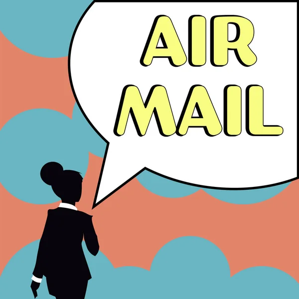 Text Showing Inspiration Air Mail Business Idea Bags Letters Packages — Stok fotoğraf
